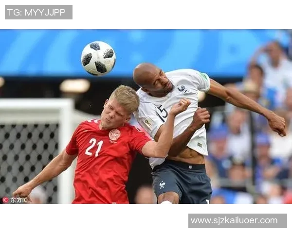 2018年世界杯小组赛丹麦对法国精彩战绩回顾与分析