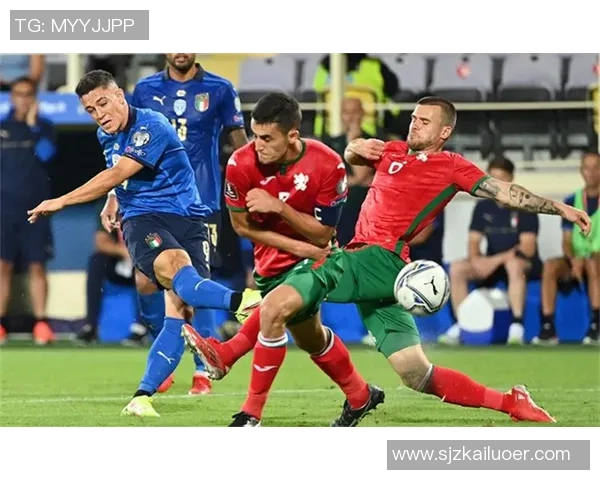 喀麦隆与荷兰上半场精彩对决分析及战术解读