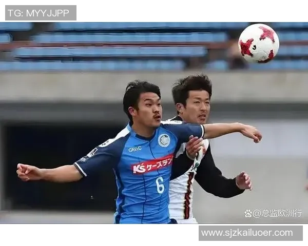 新泻天鹅与黄蜂精彩对决直播全程回顾及赛后分析