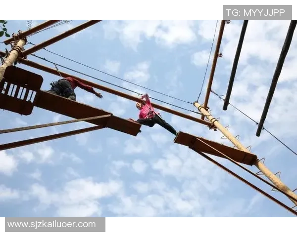 北京排球队的成长之路：一段激情与坚持交织的排球纪实故事MBA