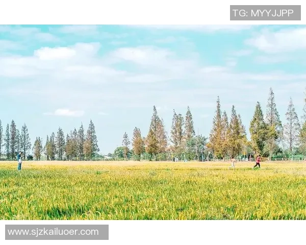 周军独家分享网球心得与技巧助你提升球技的全面指南