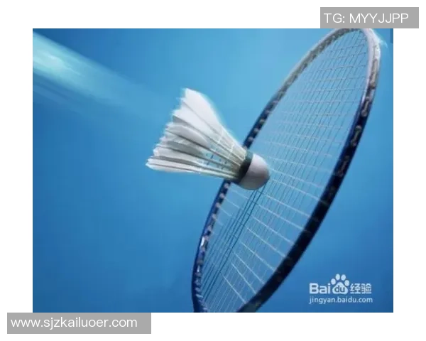 成都羽毛球队技术分析与发展探讨聚焦羽毛球运动的未来趋势与挑战